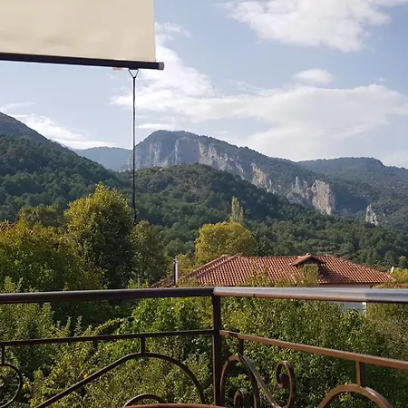 Olympus House Apartment Litochoro