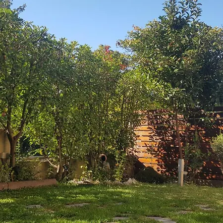 Olympus House * ליטוחורון