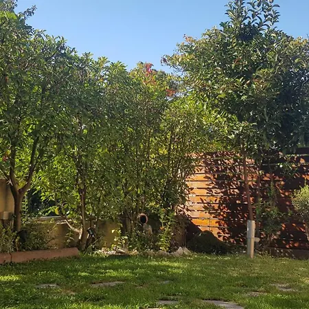 Olympus House * リトコロン